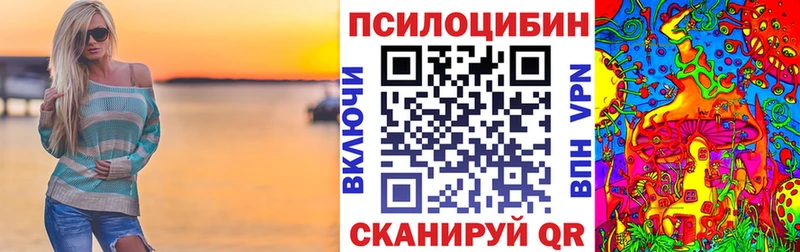 Галлюциногенные грибы Cubensis  купить   Каменск-Шахтинский 